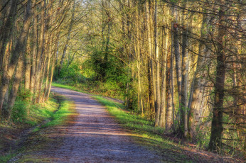 Картинка природа дороги тракт