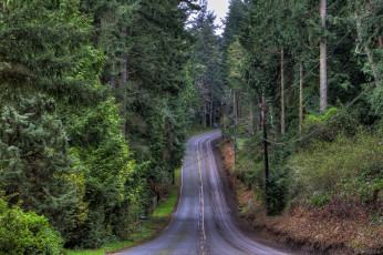 Картинка природа дороги тракт