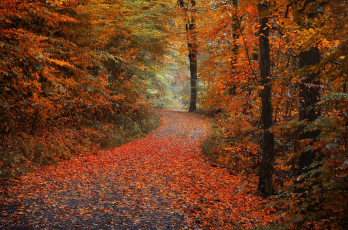 Картинка природа дороги тракт