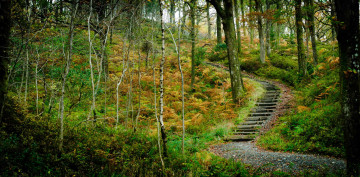 Картинка природа дороги тракт