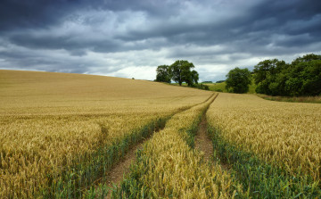 Картинка природа дороги тракт