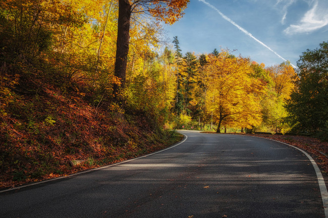 Обои картинки фото природа, дороги, тракт