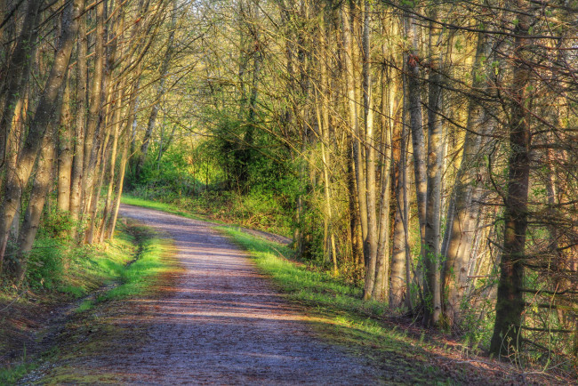 Обои картинки фото природа, дороги, тракт