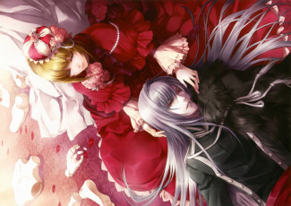 Картинка аниме will+o`wisp двое