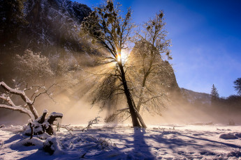 Картинка природа зима снег