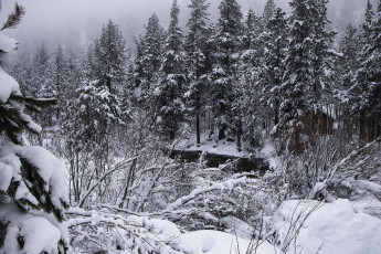 Картинка природа зима снег