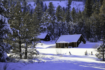 Картинка природа зима снег