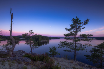 Картинка природа реки озера река лес