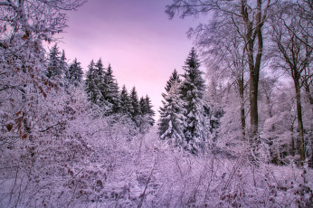 Картинка природа зима снег