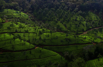 Картинка природа пейзажи без комментарий