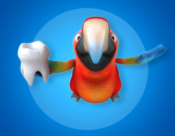 Обои картинки фото 3д графика, юмор , humor, зуб, попугай
