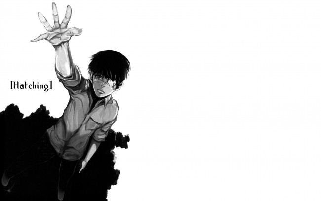 Обои картинки фото аниме, tokyo ghoul, канеки, кен