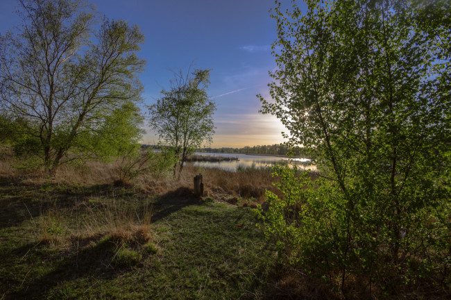 Обои картинки фото природа, реки, озера, река, лес