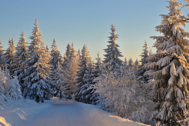 Обои картинки фото природа, зима, снег