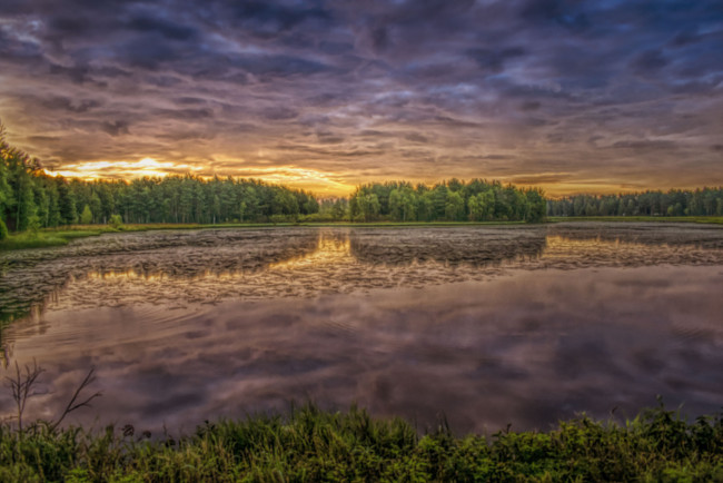 Обои картинки фото природа, реки, озера, река, лес