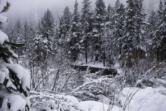 Обои картинки фото природа, зима, снег