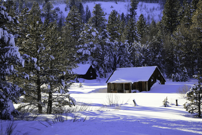 Обои картинки фото природа, зима, снег