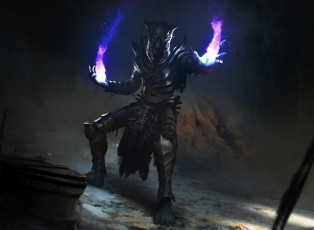 Картинка видео+игры the+elder+scrolls +legends персонаж