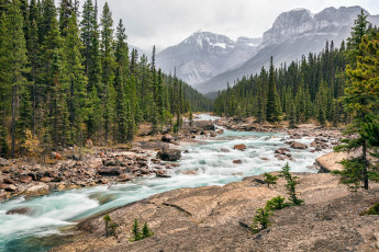 Картинка природа реки озера простор