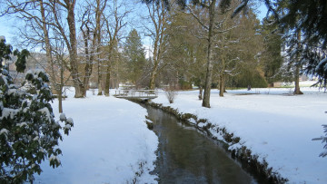 Картинка природа реки озера деревья река