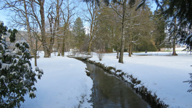 Обои картинки фото природа, реки, озера, деревья, река