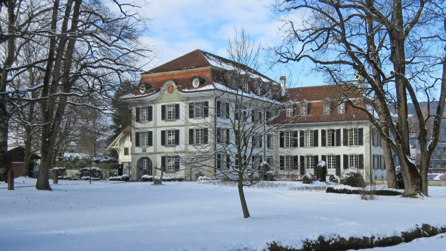 Обои картинки фото города, - здания,  дома, деревья, дом