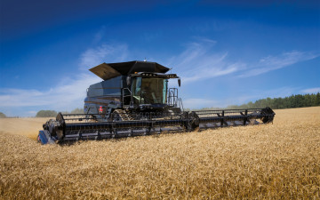 обоя техника, комбайны, massey, ferguson