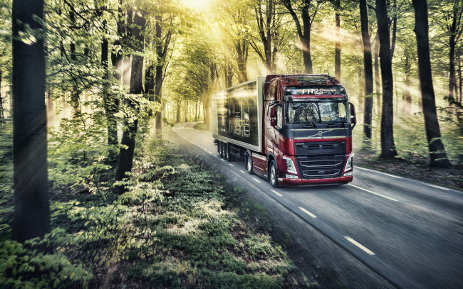 Обои картинки фото 2019 volvo fh, автомобили, volvo trucks, вольво, грузовики, 2019, volvo, fh, lkw, hdr, лесная, дорога