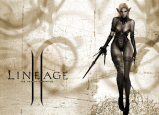 Картинка видео+игры lineage+ii +the+chaotic+chronicle эльфийка белье чулки оружие