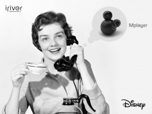 Картинка бренды iriver