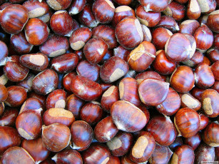 Картинка еда орехи каштаны