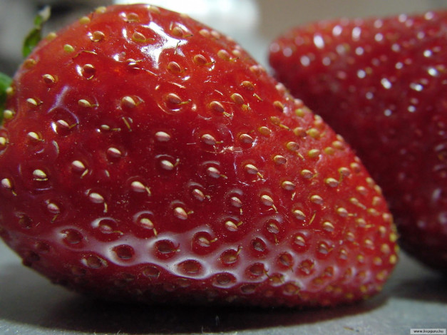 Обои картинки фото еда, клубника, земляника