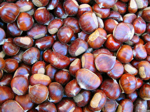 Обои картинки фото еда, орехи, каштаны