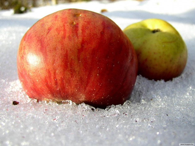 Обои картинки фото еда, Яблоки