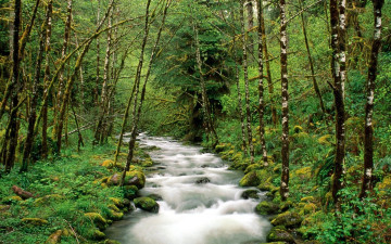 Картинка природа реки озера