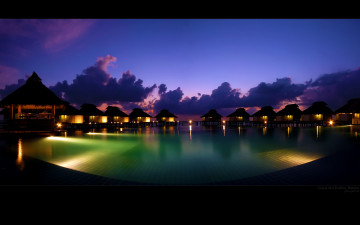 Картинка природа тропики