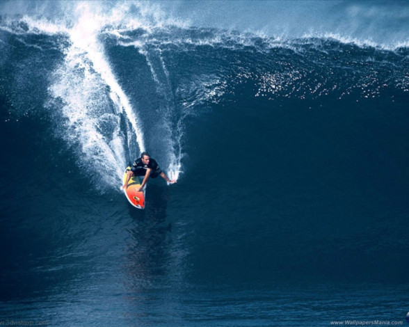 Обои картинки фото спорт, серфинг