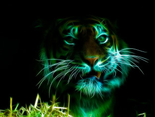 Картинка 3д графика animals животные морда усы взгляд недовольный тигр