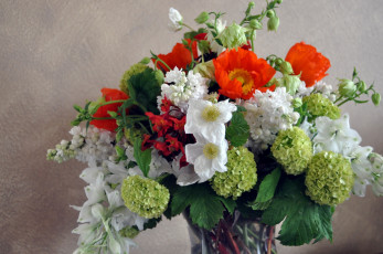 Картинка цветы букеты композиции гортензия левкой анемоны