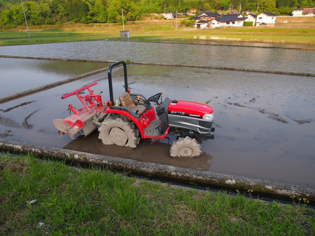 Обои картинки фото техника, тракторы, трактор