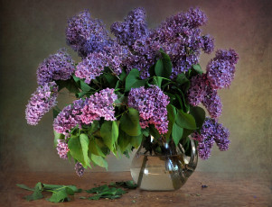 Картинка цветы сирень букет