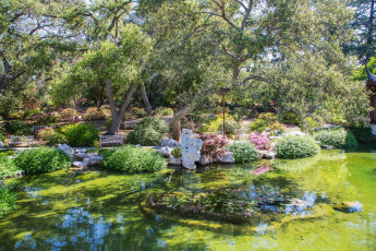 Картинка калифорния+сан+марино природа парк деревья кусты цветы пруд сад сан марино калифорния