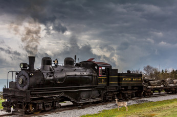 Картинка техника паровозы вагоны тендер паровоз
