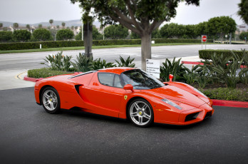 Картинка rosso+dino+enzo+ferrari автомобили ferrari италия суперкар