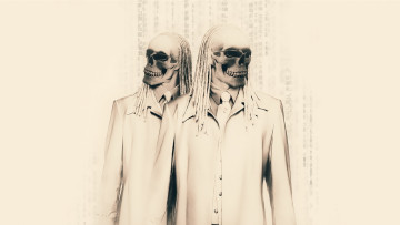 Картинка разное кости +рентген скелеты