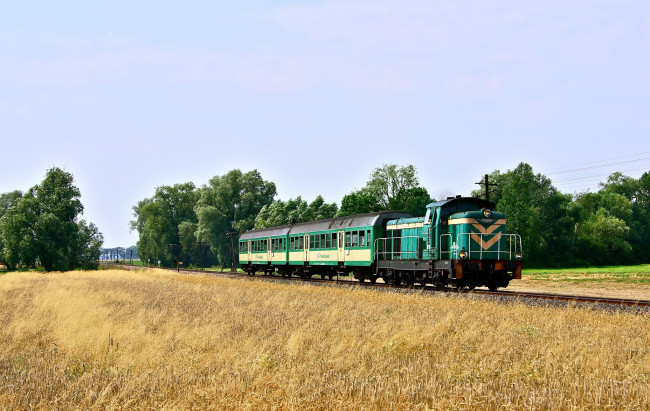 Обои картинки фото техника, паровозы, паровоз, маневровый