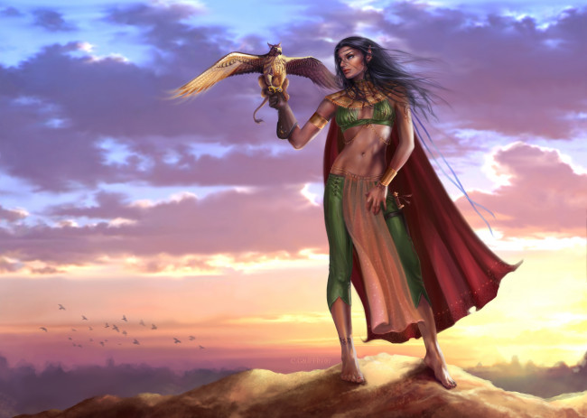 Обои картинки фото фэнтези, эльфы, наряд, птица