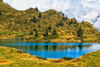 Картинка природа реки озера деревья трава озеро горы