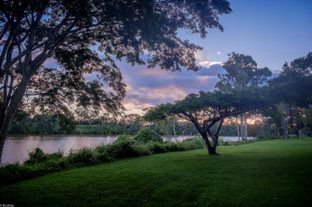 Картинка природа парк вечер небо облака деревья