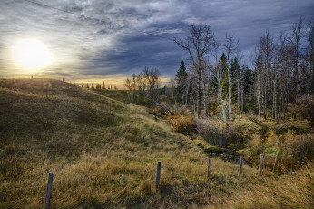 Картинка природа восходы закаты изгородь деревья трава холм тучи